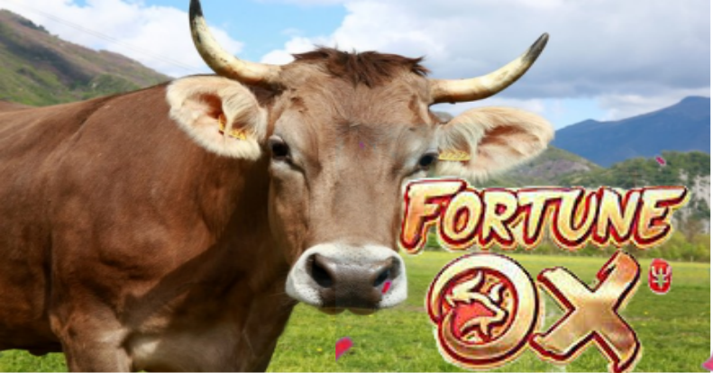 fortune ox game,fortune ox-game slot online,fortune ox game download